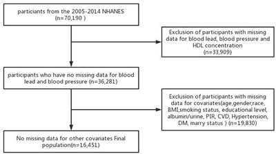 Blood Lead and High-Density Lipoprotein Concentrations in Relation to Human Blood Pressure: A Cross Sectional Study